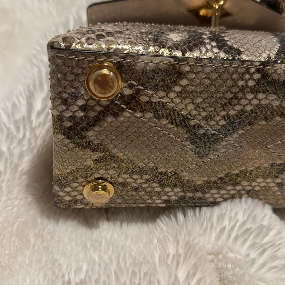Louis Vuitton Exotic (python)collection - Picture 10 of 13
